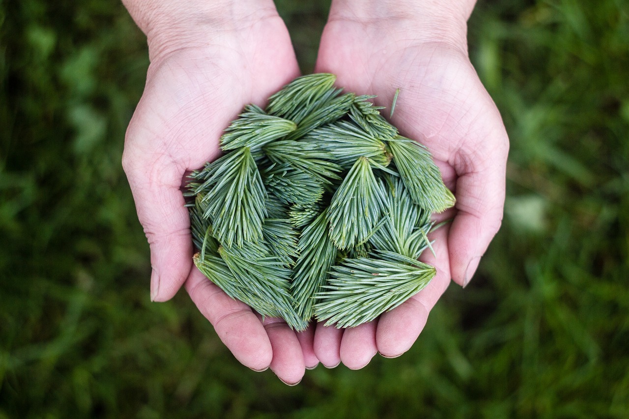 Chi e cosa fa? Psicoterapeuta, psicoanalista e psichiatra